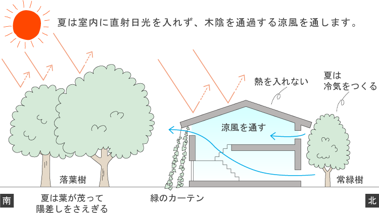 夏は室内に直射日光を入れず、木陰を通過する涼風を通します。