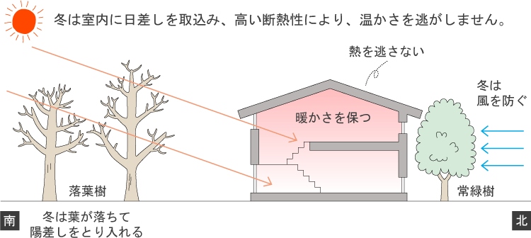 冬は室内に日差しを取込み、高い断熱性により、温かさを逃がしません。